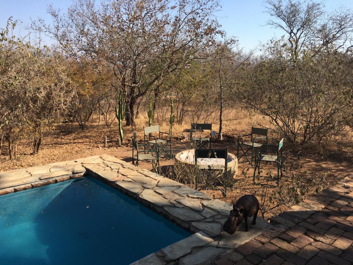 Giraffe Lodge โฮดสปรูท ภายนอก รูปภาพ