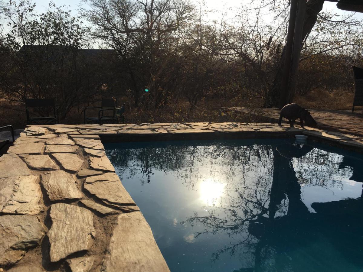 Giraffe Lodge โฮดสปรูท ภายนอก รูปภาพ