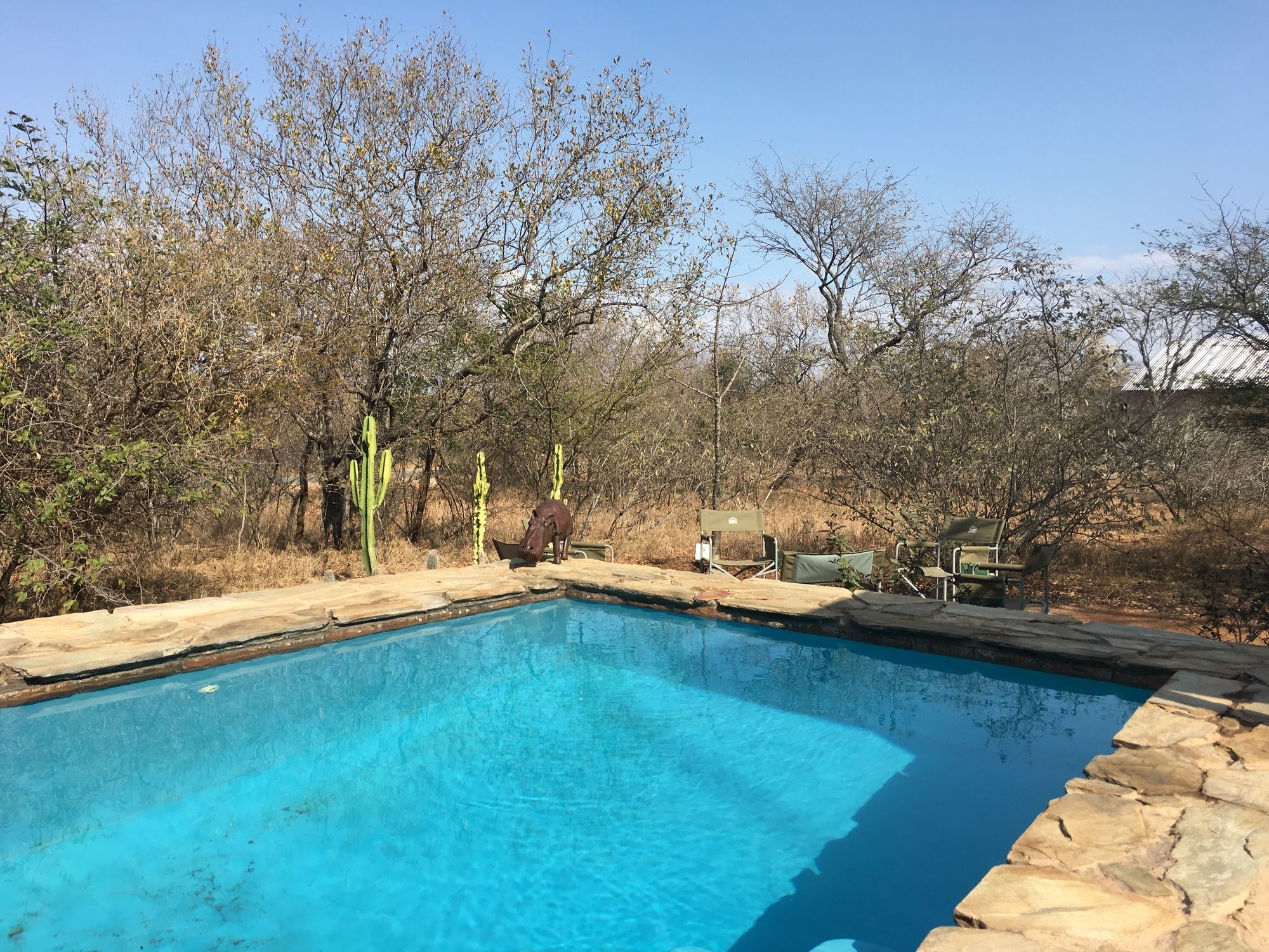 Giraffe Lodge โฮดสปรูท ภายนอก รูปภาพ